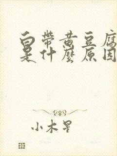 白带黄豆腐渣状是什么原因