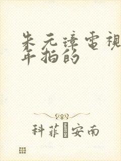 朱元璋电视剧哪年拍的