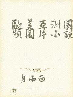 欧美亚洲国内视频图片小说丝袜封面