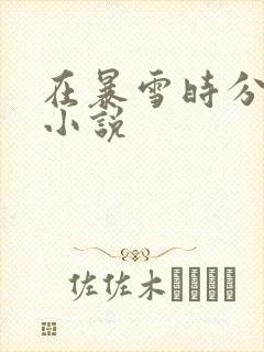 在暴雪时分原著小说封面