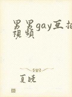 男男gay互插视频