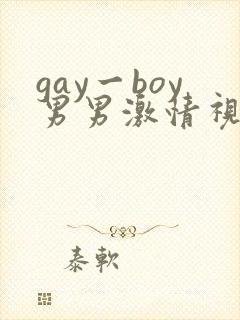 gay一boy男男激情视频