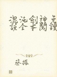 混沌剑神免费小说全本阅读全文