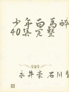 少年白马醉春风40集完整