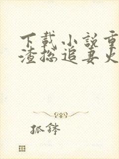 下载小说重生后渣总追妻火葬场封面