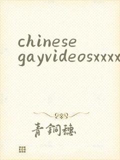chinesegayvideosxxxx