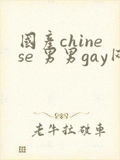 国产chinese 男男gay网站