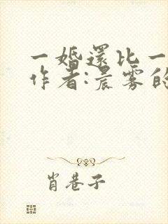 一婚还比一婚高作者:晨雾的光