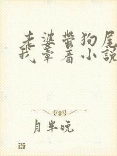 老婆带狗尾巴让我牵着小说封面