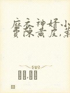 麻衣神婿小说免费陈黄皮,叶红鱼