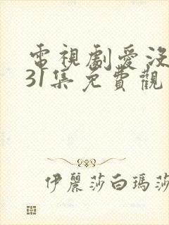 电视剧爱没有错31集免费观看