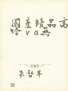 国产精品高潮呻吟ⅴa无