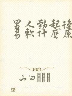 男人勃起后又容易软什么原因