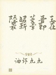 陆昭菱晋王小说最新章节在线阅读封面