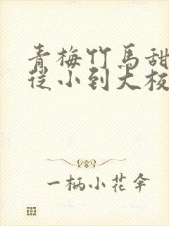 青梅竹马甜宠文从小到大校园封面