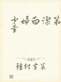 少妇白洁第50章