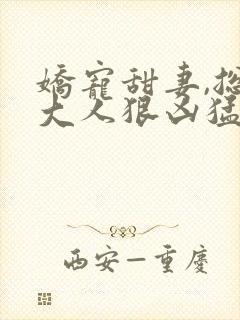 娇宠甜妻,总裁大人狠凶猛封面