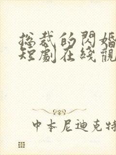 总裁的闪婚甜妻短剧在线观看