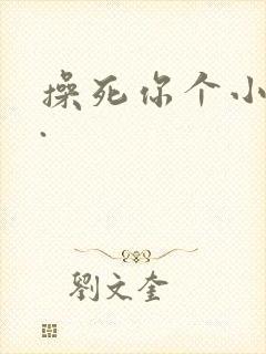 操死你个小骚货.