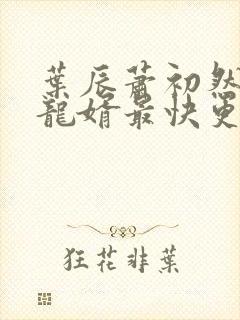 叶辰萧初然上门龙婿最快更新封面