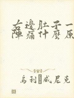 右边肚子一阵一阵痛什么原因