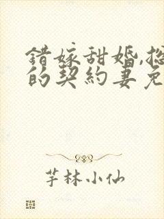 错嫁甜婚,总裁的契约妻免费小说