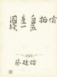 国产自拍偷拍在线一区