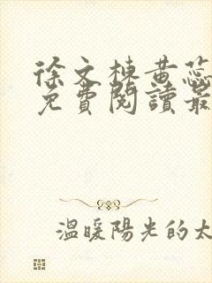 徐文栋黄蕊小说免费阅读最新章节