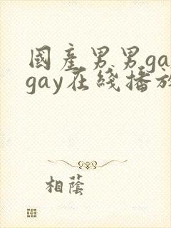 国产男男gaygay在线播放