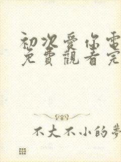 初次爱你电视剧免费观看完整版高清封面