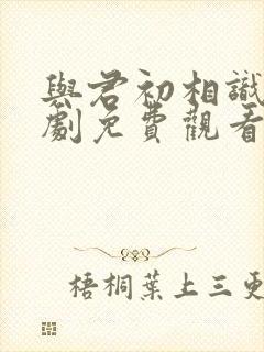 与君初相识电视剧免费观看完整版高