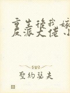 重生后我嫁给了反派大佬 小说