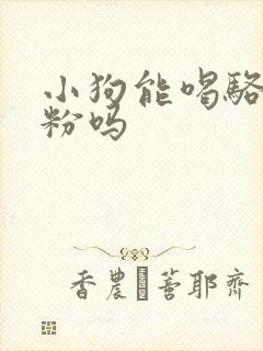 小狗能喝骆驼奶粉吗