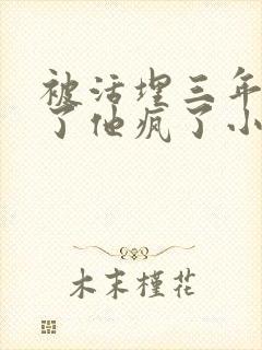 被活埋三年我死了他疯了小说全文免费封面