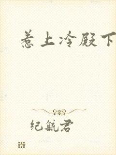 惹上冷殿下小说