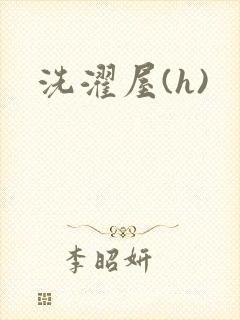 洗濯屋(h)