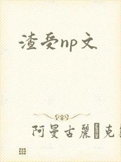 渣受np文