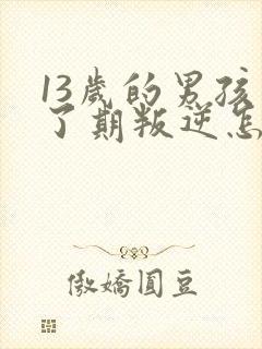 13岁的男孩到了期叛逆怎么教