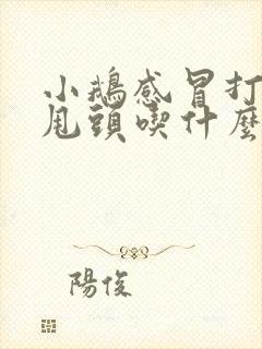 小鹅感冒打喷嚏甩头吃什么药