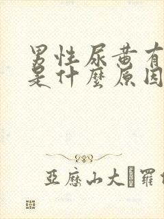 男性尿黄有泡泡是什么原因