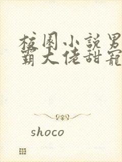 校园小说男主校霸大佬甜宠文