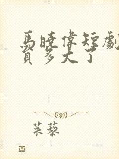 马晓伟短剧女演员多大了