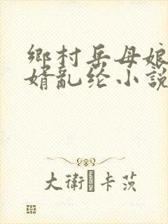 乡村岳母娘和女婿乱纶小说封面