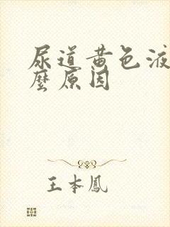 尿道黄色液体什么原因封面