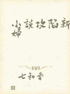 小说攻陷新婚少妇