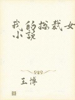 我的总裁女友 小说封面