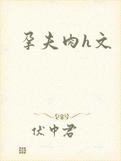 孕夫肉h文封面