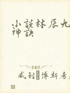 小说林辰九天斩神诀