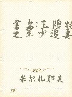 书名:王牌特战之军少追妻