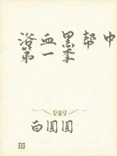 浴血黑帮中文版第一季封面